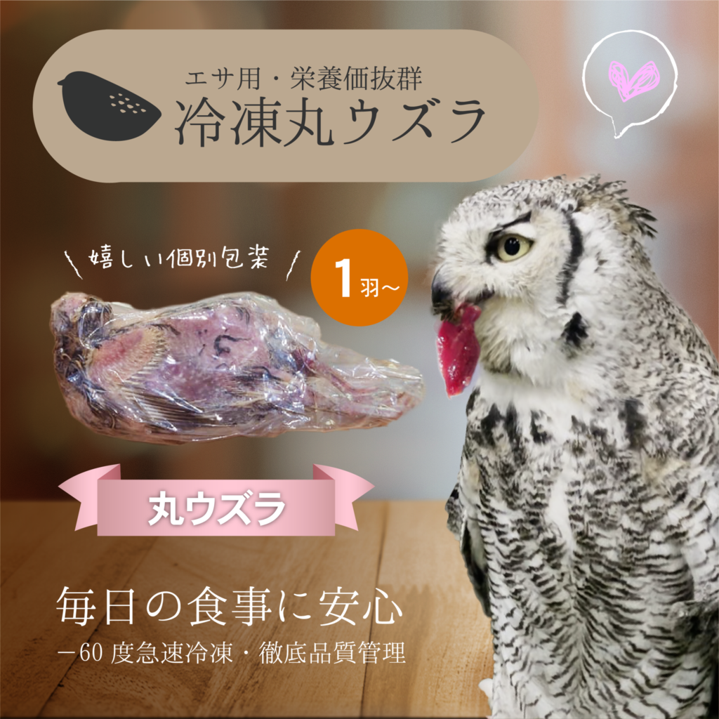 餌用 処理済み 冷凍うずら 30羽 猛禽類 爬虫類 フクロウ ヘビ 4.ウズラ丸個別-1024x1024.png