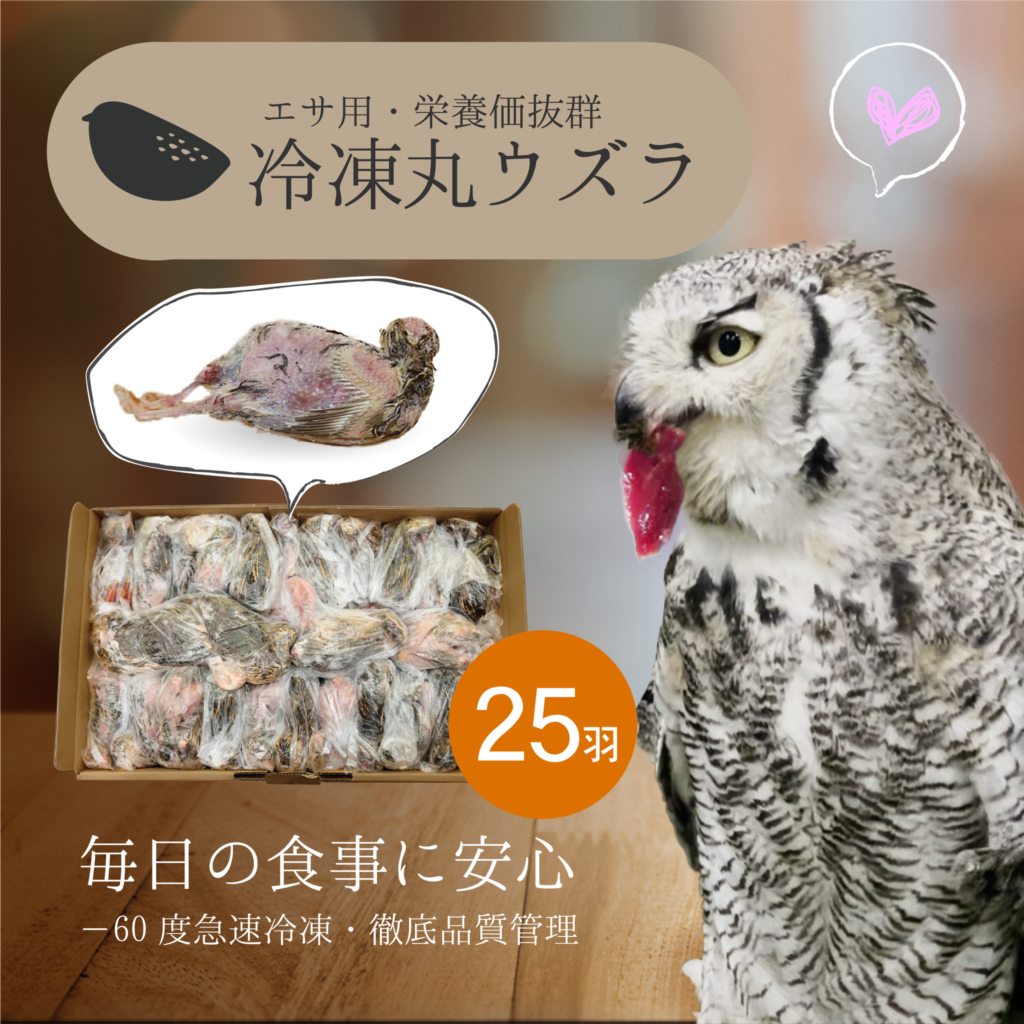 冷凍 親ウズラ 未処理 50匹 - ペット用品