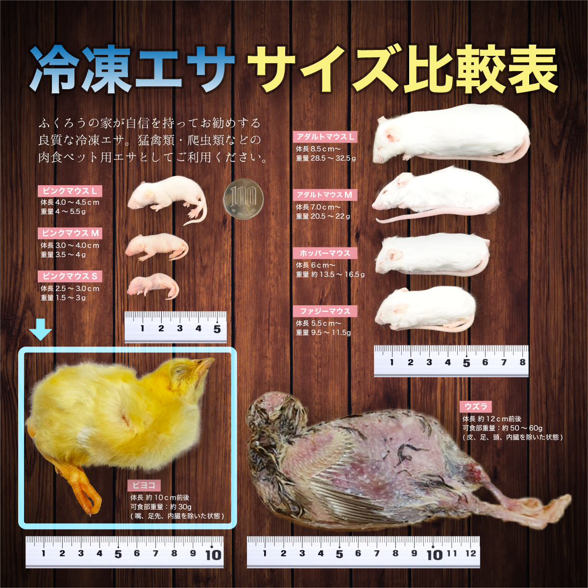 ふくろうの家-ECサイト-冷凍処理済ひよこ15羽