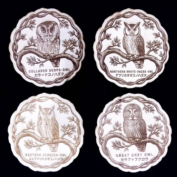 ふくろうの家 オリジナルウッドコースター カラードコノハズク アフリカオオコノハズク ニシアメリカコノハズク カラフトフクロウ