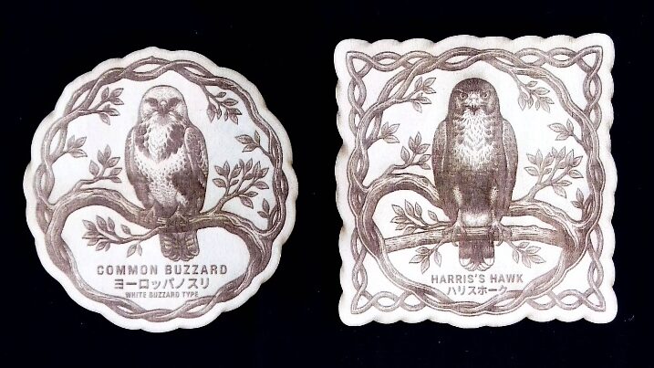 ふくろうの家 オリジナルウッドコースター シロノスリ ハリスホーク 鷹 猛禽類 レーザー彫刻 シナベニア