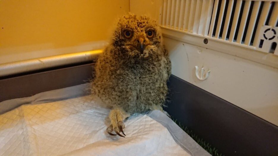 UbsldkX0Tt2yjVQpshwjBw