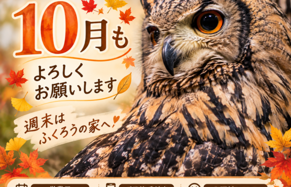 10月のふくろうの家営業案内。土日祝12時から16時まで営業、60分・90分コースの料金と予約受付を案内