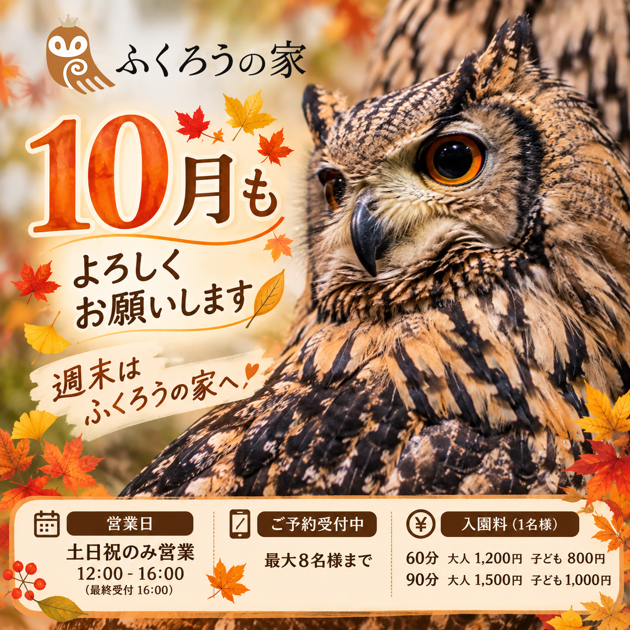 10月のふくろうの家営業案内。土日祝12時から16時まで営業、60分・90分コースの料金と予約受付を案内